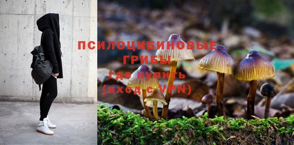 индика Алзамай